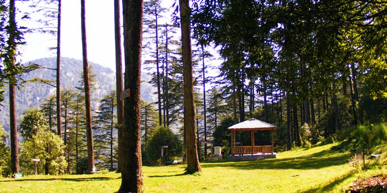 Camp Carnival, Dhanaulti