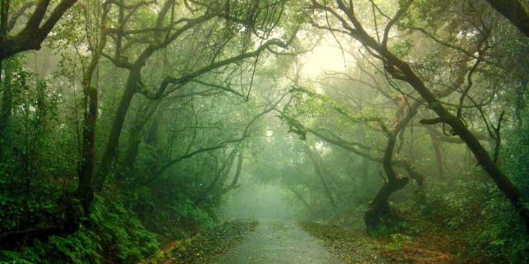 Two Paradise, Panchgani