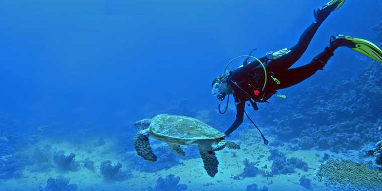 Scuba Diving, Lakshadweep