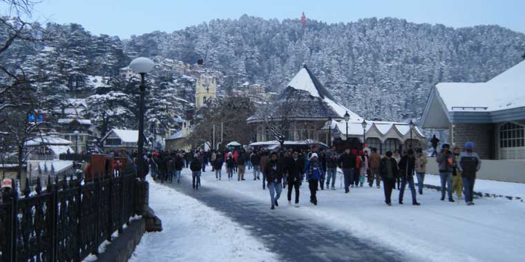 Shimla